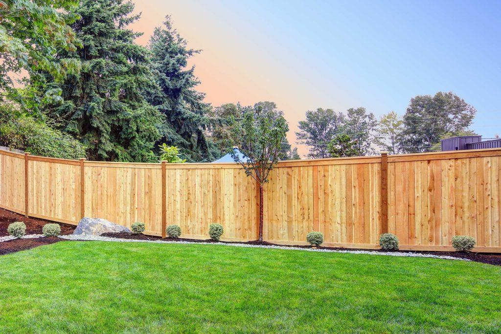 P Norris garden fence